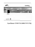 Samsung 171T