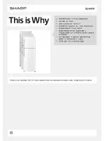 Sharp SJ-431V