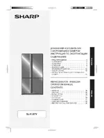 Sharp SJ-FJ97V