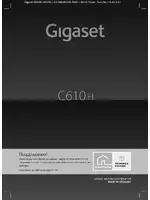 Siemens Gigaset C610H