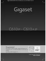 Siemens Gigaset C610IP-C610A IP