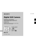 Sony DSC-V1