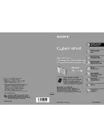 Sony DSC-W100