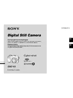 Sony DSC-V3