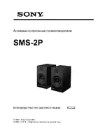 Sony SMS-2P