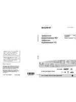 Sony HDR-PJ10E