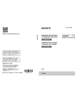 Sony NEX-3NY