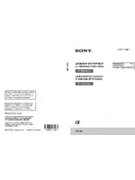 Sony NEX-5RL