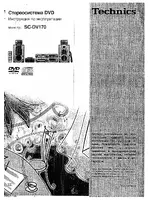 Technics SC-DV170 RU