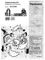 Technics SC-DV290 RU