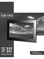 Texet TF-317