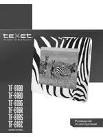 Texet TF-818
