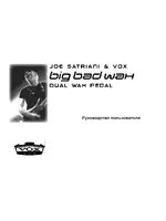 Vox BigBadWAH