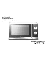 VR MW-G1701