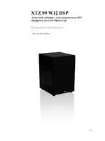 XTZ 99 W12 DSP