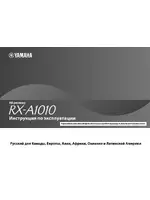 Yamaha RX-A1010