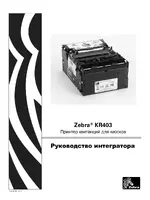 Zebra KR403