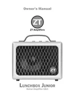 ZT Amplifiers Junior LBJ1