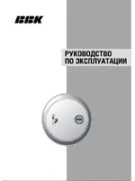 BBK PV300S