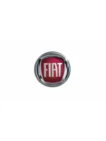FIAT DUCATO (2009)