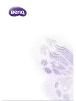 BENQ LR100