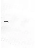 BENQ W100