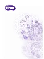 BENQ W1070+