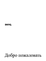 BENQ W500