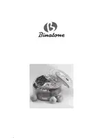 BINATONE FD-2685