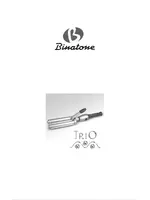 BINATONE HCR 220