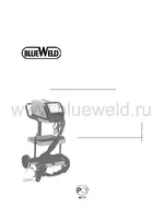 BLUEWELD Digital plus 5500 (220V)