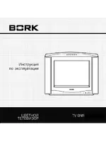 BORK TV SNR 2122