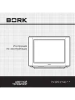 BORK TV SPR 2140 SI