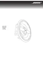 BOSE Virtually Invisible 791