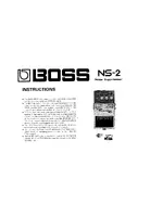 BOSS NS-2 Noise Suppressor