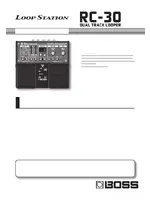BOSS RC-30