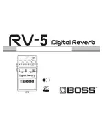 BOSS RV-5