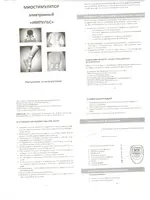 BRADEX Импульс