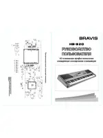 BRAVIS KB-920