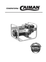 CAIMAN Expert 2410X