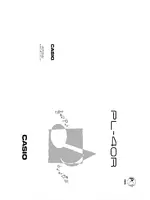 CASIO PL-40R