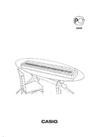 CASIO PX-100