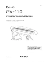 CASIO PX-110
