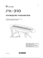 CASIO PX-310
