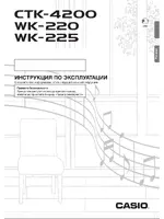 CASIO WK-220