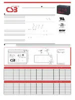 CSB BACSBHR1234W