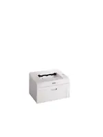 DELL 1100