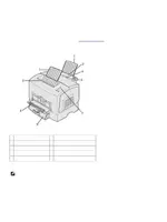 DELL P1500