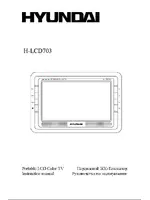 HYUNDAI Electronics LCD703