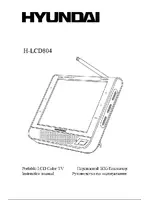 HYUNDAI Electronics LCD804